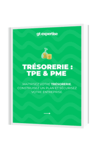 Guide téléchargeable pour maximiser l’usage de l’excédent de trésorerie - GT Expertise